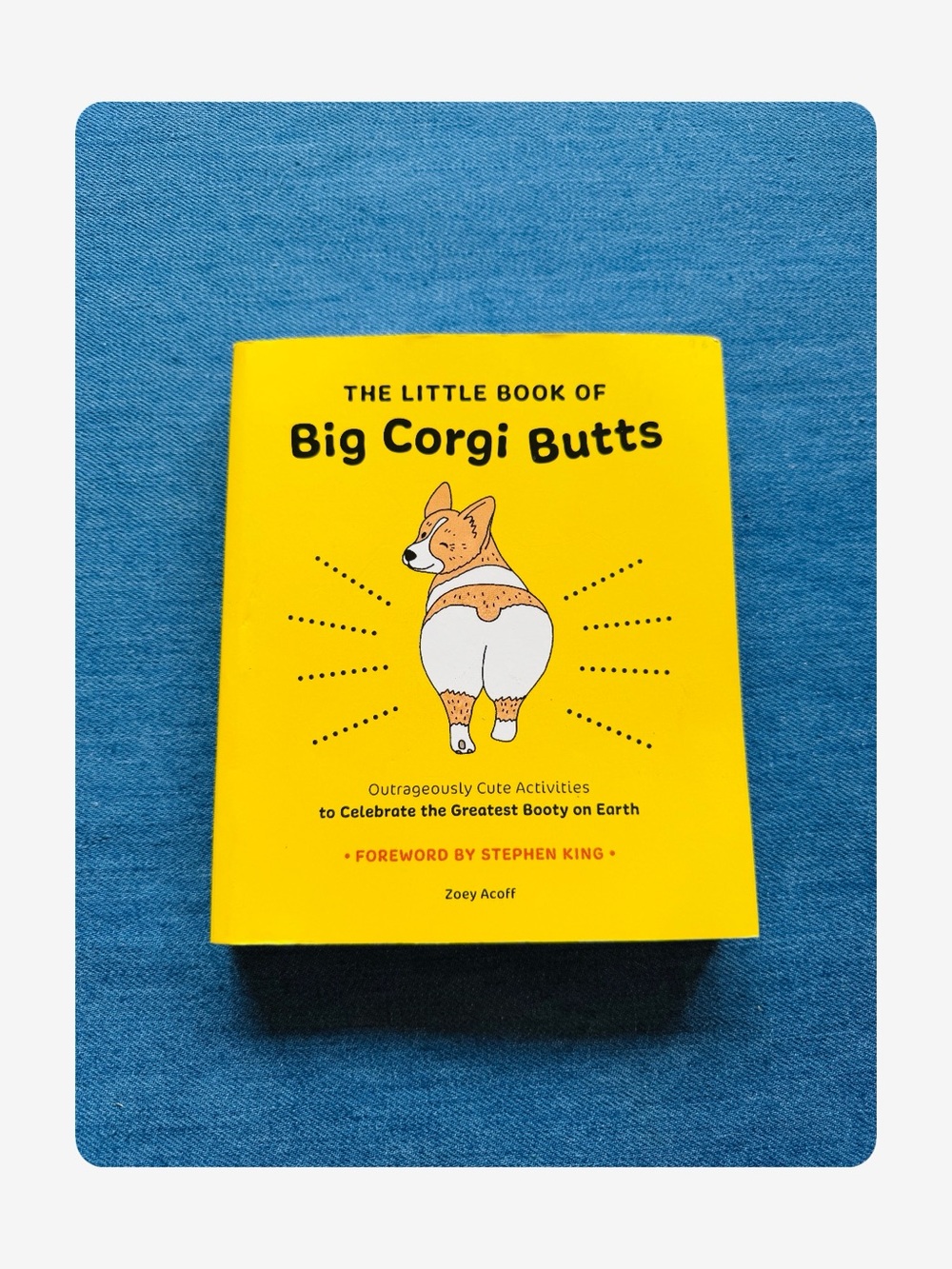 ★ “The Little Book of Big Corgi Butts” By Zoey Acoff Sold Out Yellow Book ★